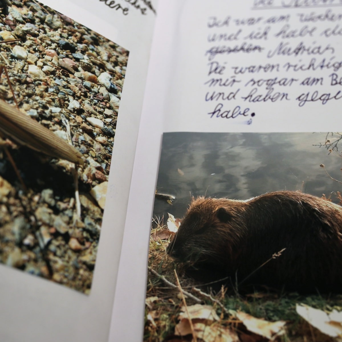 Notizbuchseite mit Fotos und handgeschriebenem Text