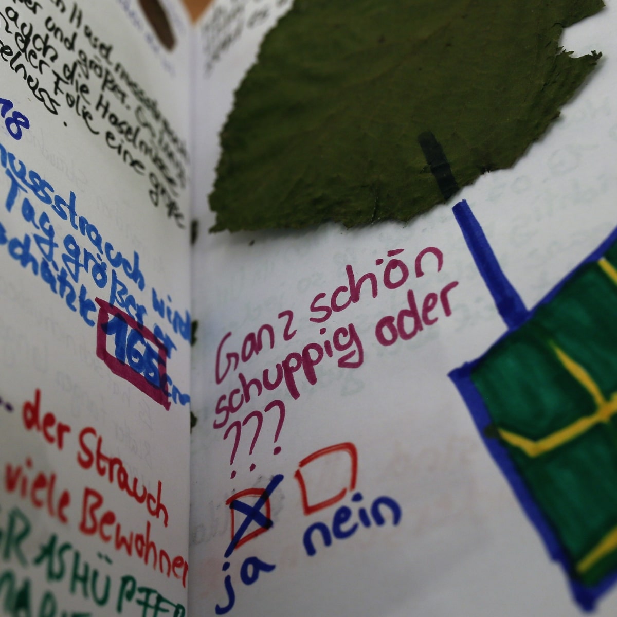 Handschriftliche Notizen mit Blatt im Hintergrund.