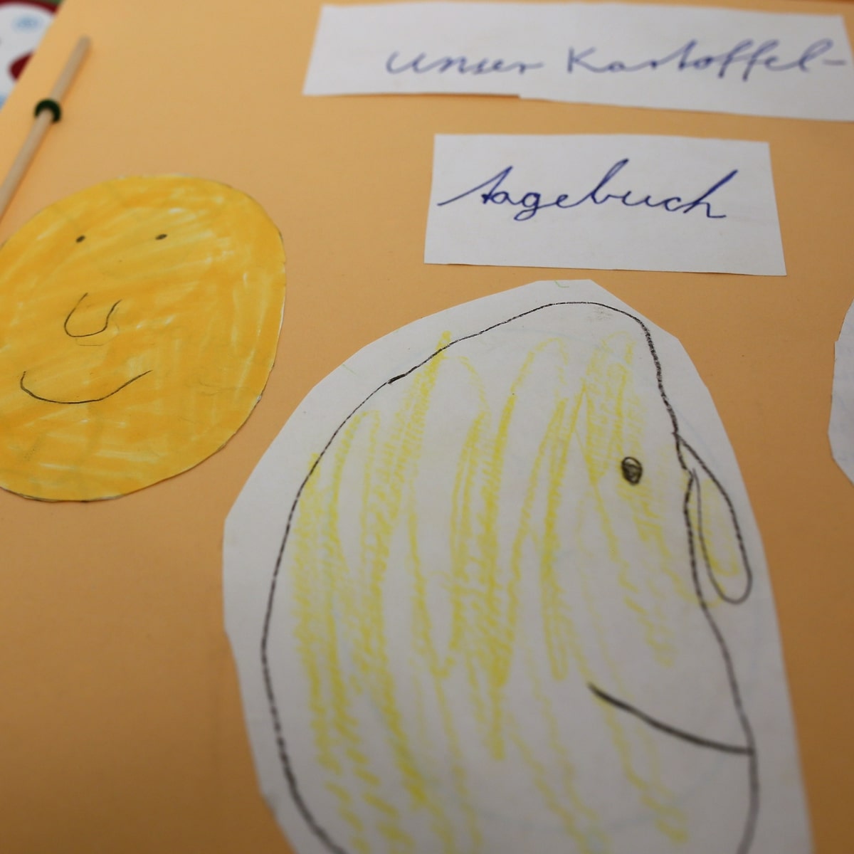 Kartoffeltagebuch Zeichnung auf orangefarbenem Papier.