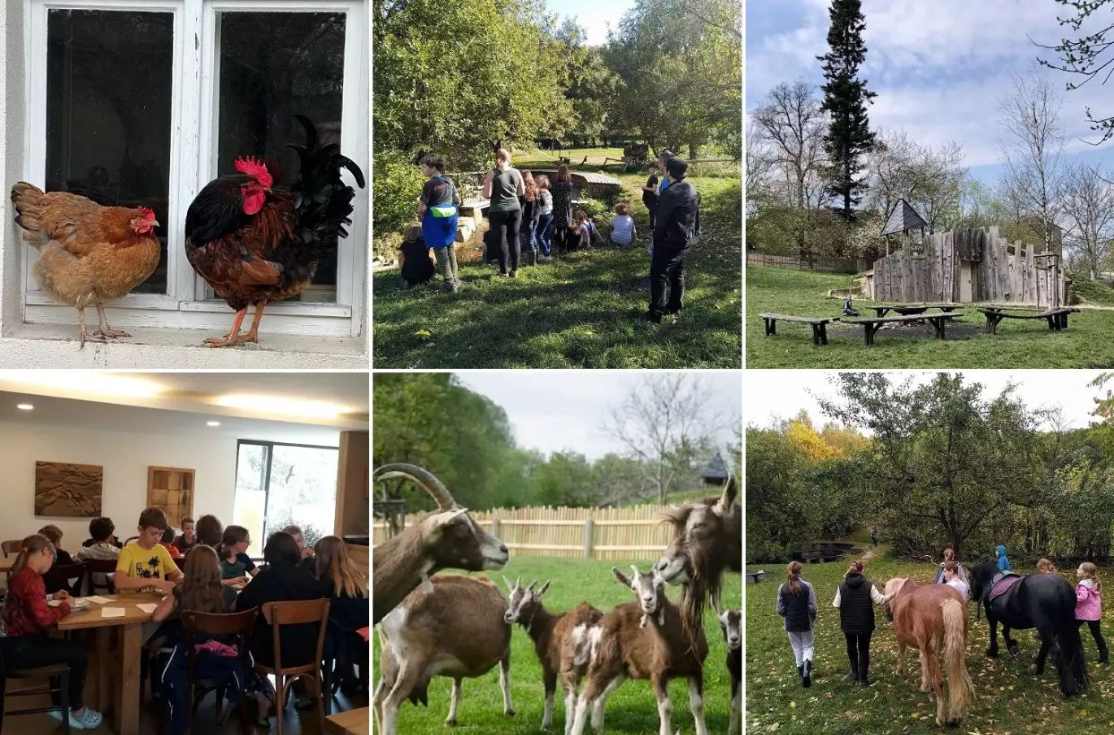 Bauernhofleben: Tiere, Kindergruppen, Natur und Lernen