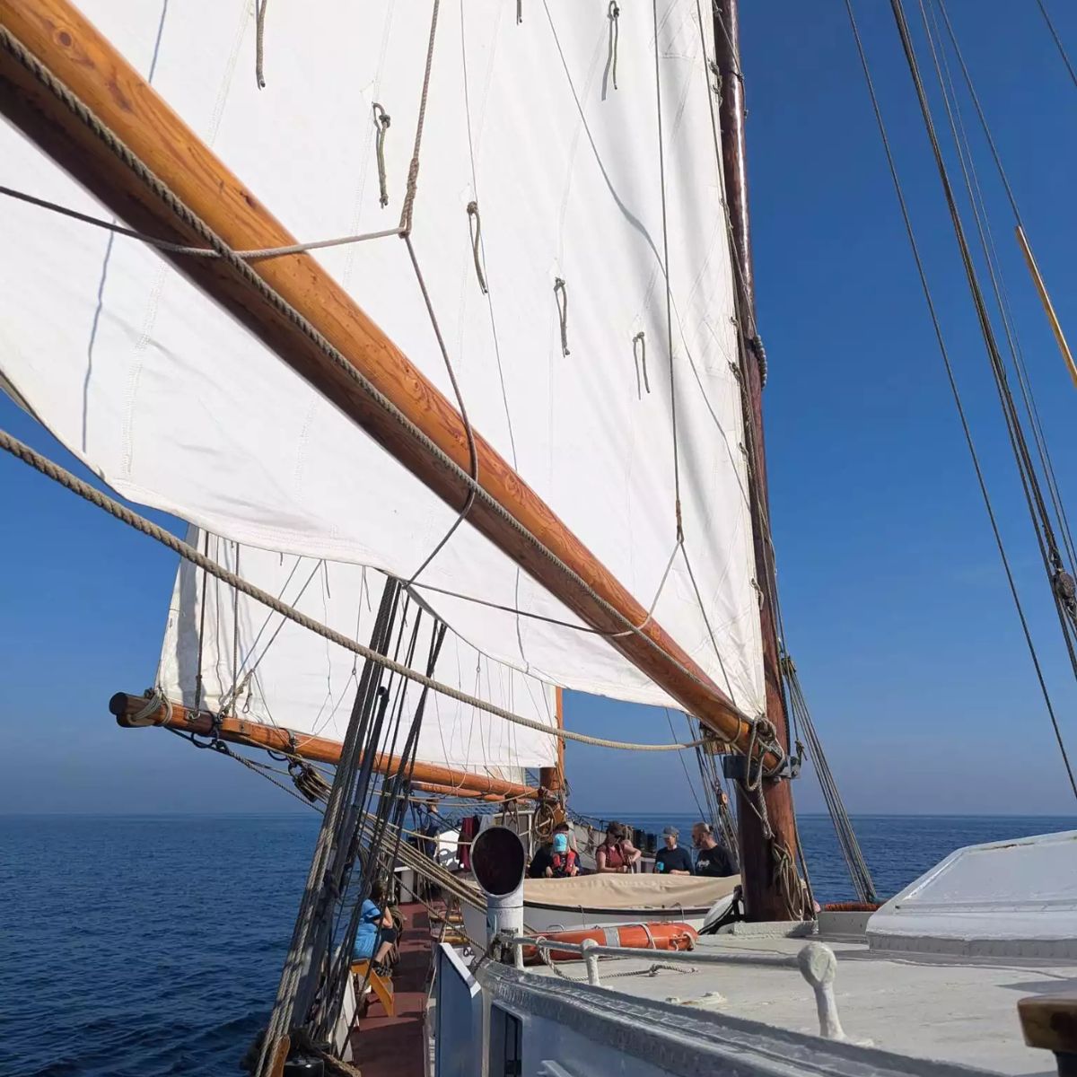 Segelschiff auf offenem Meer bei blauem Himmel.